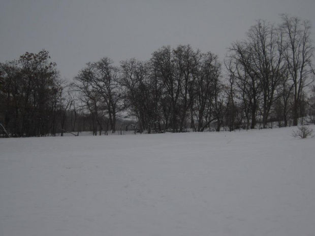 Buhl Winter